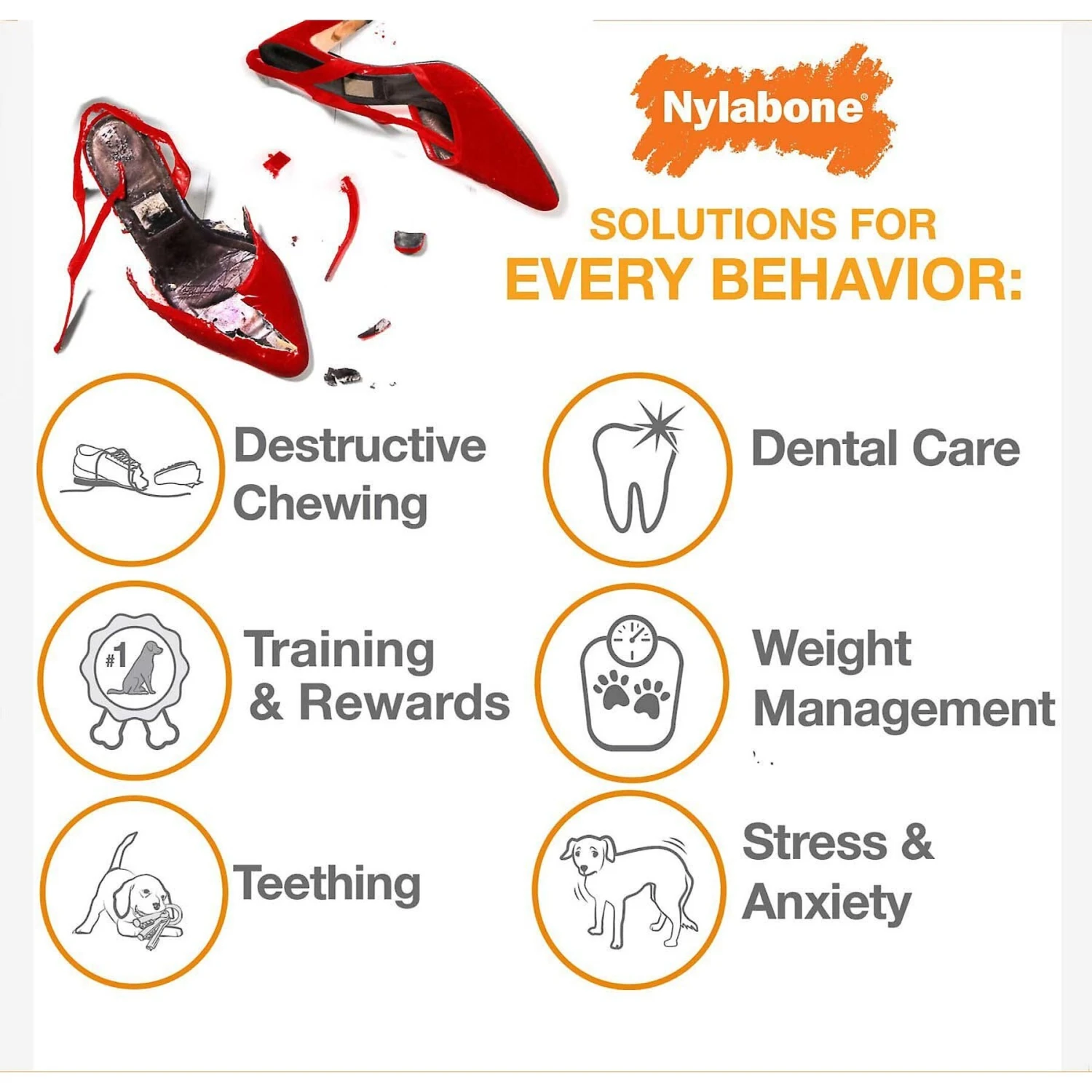 Nylabone Advanced Oral Care Original Flavor Puppy Dental Kit & Nylabone Puppy Pacifier Teething Toy Chew Teething Pacifier Bacon 10 Nylabone Advanced Oral Care Original Flavor Puppy Dental Kit & Nylabone Puppy Pacifier Teething Toy Chew Teething Pacifier Bacon - Image 8