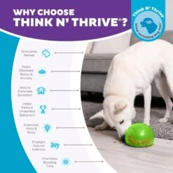 Planet Dog Orbee-Tuff Snoop Interactive Treat Dispensing Dog Toy 14 Planet Dog Orbee-Tuff Snoop Interactive Treat Dispensing Dog Toy -Pet Dog Toys 367753 PT5. AC SS1800 V1687966996