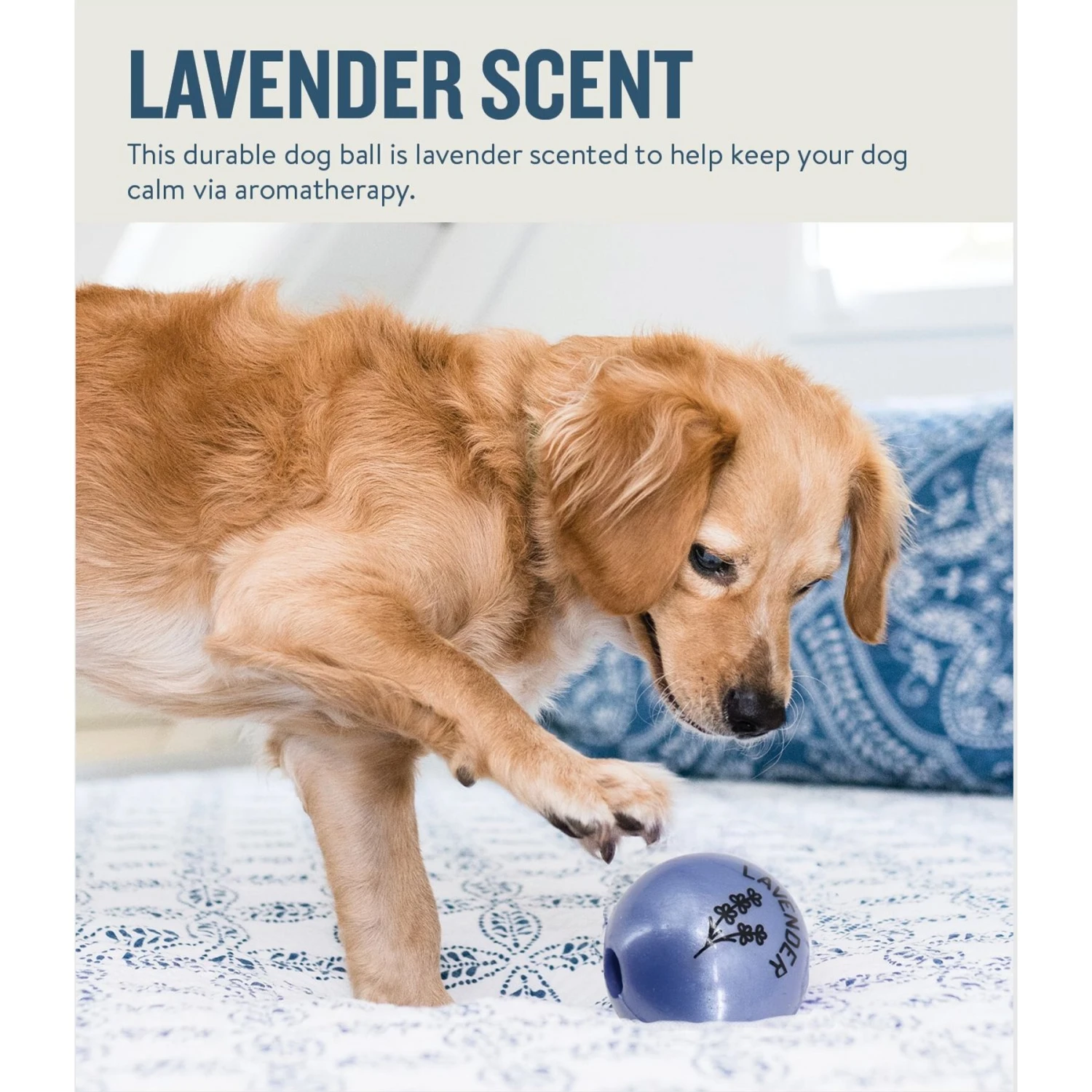 Planet Dog Orbee-Tuff Essentials Lavender Scented Interactive Dog Ball Treat Dispenser Toy, Purple 4 Planet Dog Orbee-Tuff Essentials Lavender Scented Interactive Dog Ball Treat Dispenser Toy, Purple - Image 2