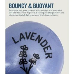 Planet Dog Orbee-Tuff Essentials Lavender Scented Interactive Dog Ball Treat Dispenser Toy, Purple 13 Planet Dog Orbee-Tuff Essentials Lavender Scented Interactive Dog Ball Treat Dispenser Toy, Purple -Pet Dog Toys 367761 PT3. AC SS1800 V1675356950