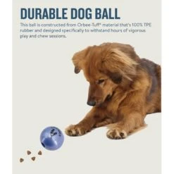Planet Dog Orbee-Tuff Essentials Lavender Scented Interactive Dog Ball Treat Dispenser Toy, Purple 14 Planet Dog Orbee-Tuff Essentials Lavender Scented Interactive Dog Ball Treat Dispenser Toy, Purple -Pet Dog Toys 367761 PT4. AC SS1800 V1675356345