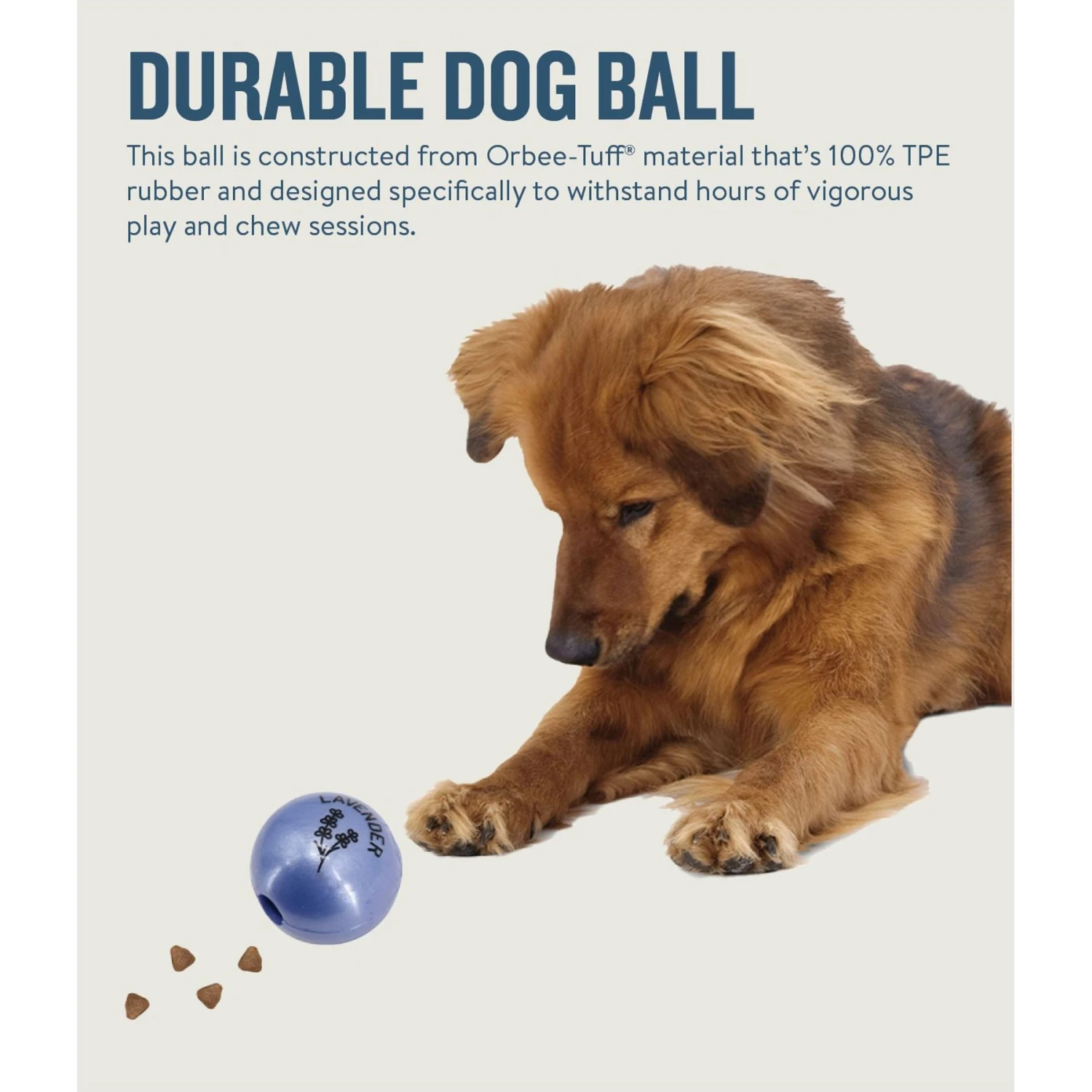 Planet Dog Orbee-Tuff Essentials Lavender Scented Interactive Dog Ball Treat Dispenser Toy, Purple 7 Planet Dog Orbee-Tuff Essentials Lavender Scented Interactive Dog Ball Treat Dispenser Toy, Purple - Image 5