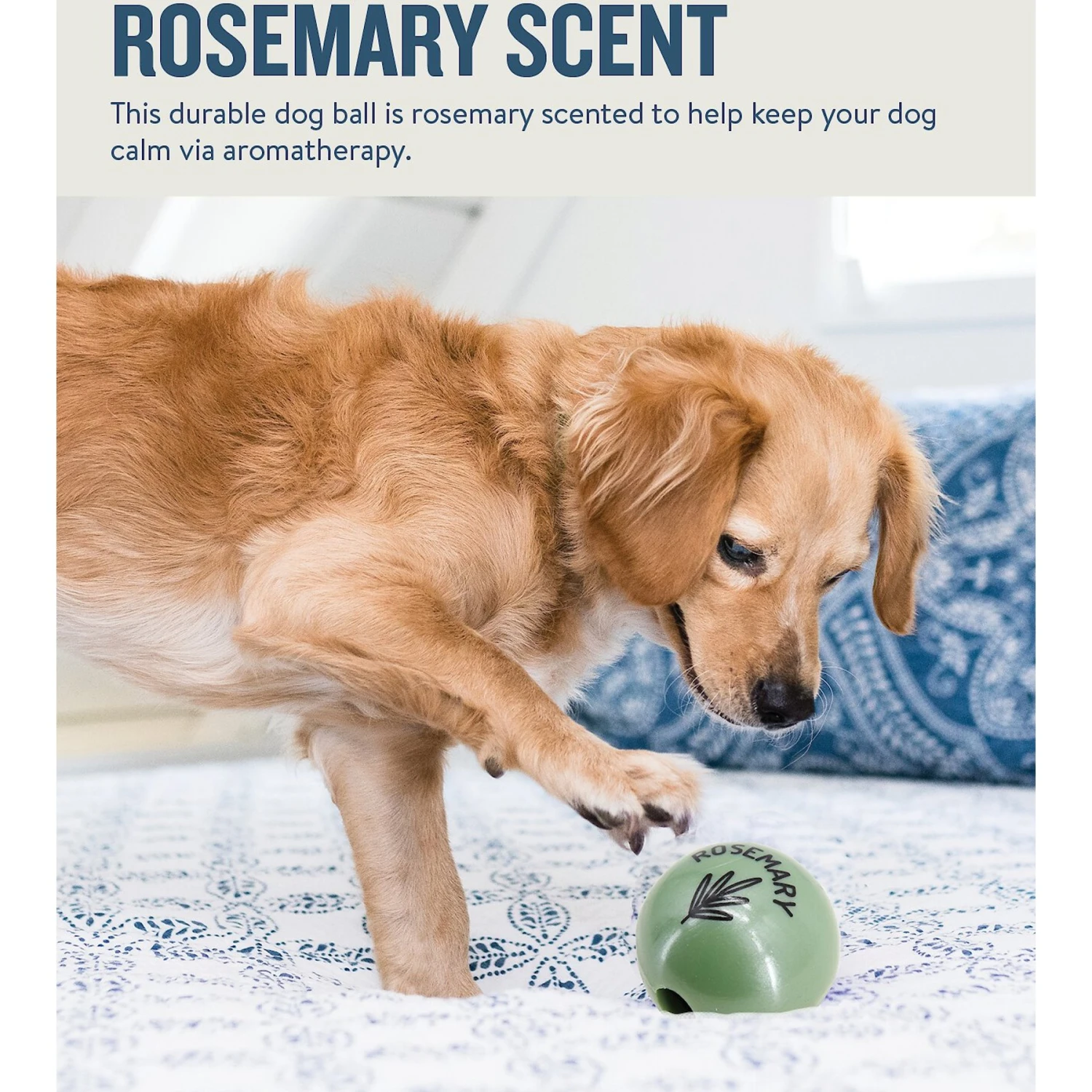 Planet Dog Orbee-Tuff Essentials Rosemary Scented Interactive Dog Ball Treat Dispenser Toy, Green 4 Planet Dog Orbee-Tuff Essentials Rosemary Scented Interactive Dog Ball Treat Dispenser Toy, Green - Image 2