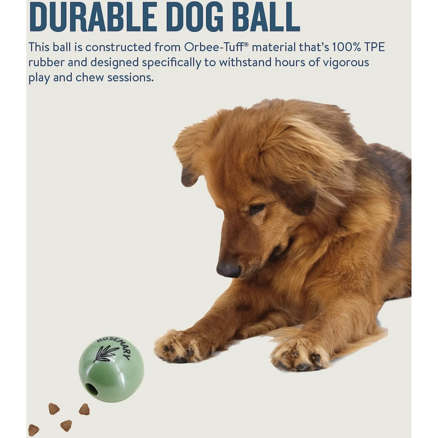 Planet Dog Orbee-Tuff Essentials Rosemary Scented Interactive Dog Ball Treat Dispenser Toy, Green 7 Planet Dog Orbee-Tuff Essentials Rosemary Scented Interactive Dog Ball Treat Dispenser Toy, Green - Image 5