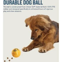 Planet Dog Orbee-Tuff Essentials Vanilla Scented Interactive Dog Ball Treat Dispenser Toy, Yellow -Pet Dog Toys 367765 PT4. AC SS1800 V1644525693