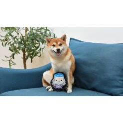 Fetch For Pets Harry Potter Dumbledore Crinkle Dog Toy -Pet Dog Toys 367775 PT3. AC SS1800 V1645231017