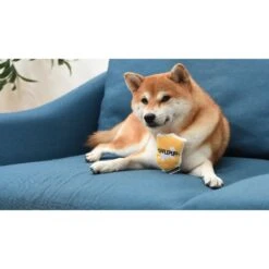 Fetch For Pets Harry Potter House Sorting Hat Burrow Dog Toy -Pet Dog Toys 367779 PT8. AC SS1800 V1645225899