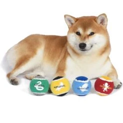 Fetch For Pets Harry Potter 4PK Hogwarts Pride Tennis Ball Dog Toy -Pet Dog Toys 367787 PT4. AC SS1800 V1645229238