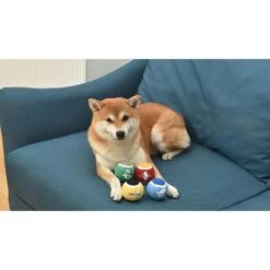 Fetch For Pets Harry Potter 4PK Hogwarts Pride Tennis Ball Dog Toy -Pet Dog Toys 367787 PT6. AC SS1800 V1645230706