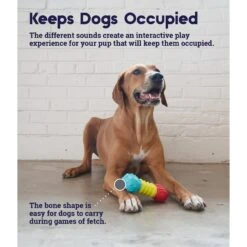 Petstages Multi-Squeak Bone Dog Chew Toy 12 Petstages Multi-Squeak Bone Dog Chew Toy -Pet Dog Toys 367946 PT3. AC SS1800 V1644525450