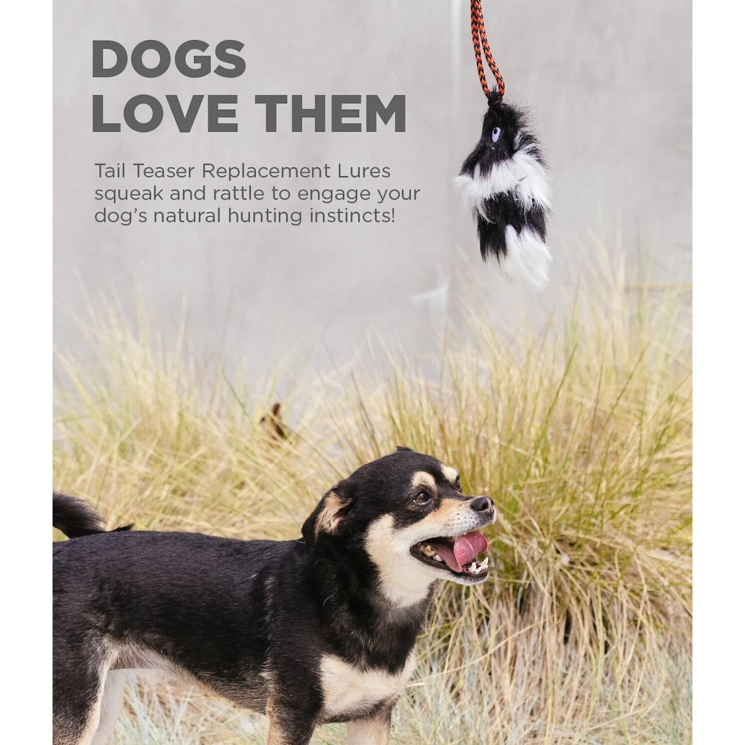 Outward Hound Beaver Tail Teaser Wand Dog Toy Replacement Lure 5 Outward Hound Beaver Tail Teaser Wand Dog Toy Replacement Lure - Image 3