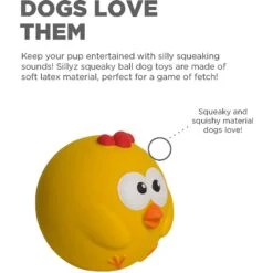 Outward Hound Sillyz Chick Latex Rubber Squeaky Ball Dog Toy -Pet Dog Toys 368196 PT1. AC SS1800 V1644528698