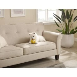 Outward Hound Sillyz Chick Latex Rubber Squeaky Ball Dog Toy -Pet Dog Toys 368196 PT4. AC SS1800 V1644532945