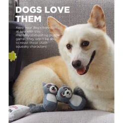 Outward Hound Hide A Raccoon Puzzle Plush Dog Toy -Pet Dog Toys 368202 PT1. AC SS1800 V1644529424