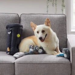 Outward Hound Hide A Raccoon Puzzle Plush Dog Toy -Pet Dog Toys 368202 PT5. AC SS1800 V1644530560