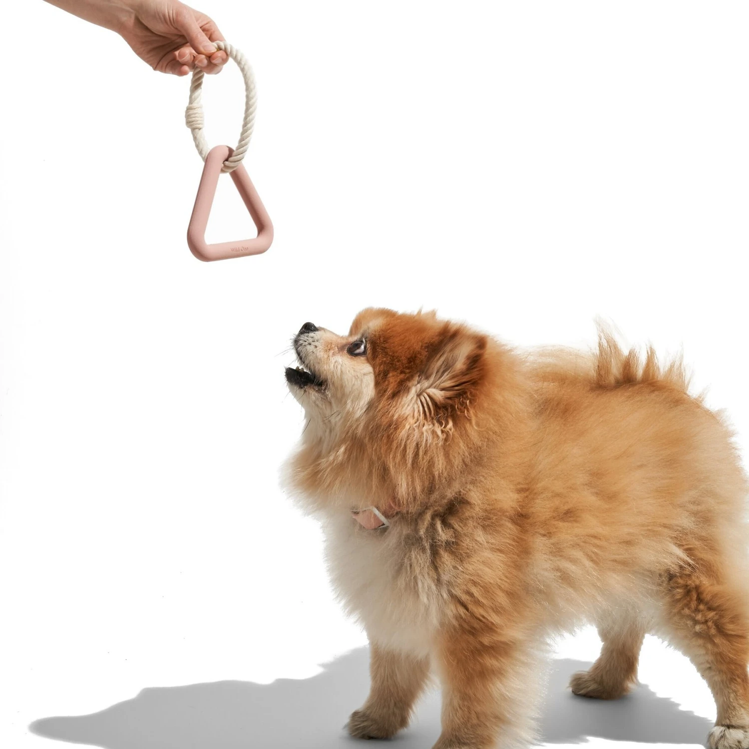 Wild OneTriangle Tug Small Dog Toy 6 Wild OneTriangle Tug Small Dog Toy - Image 4