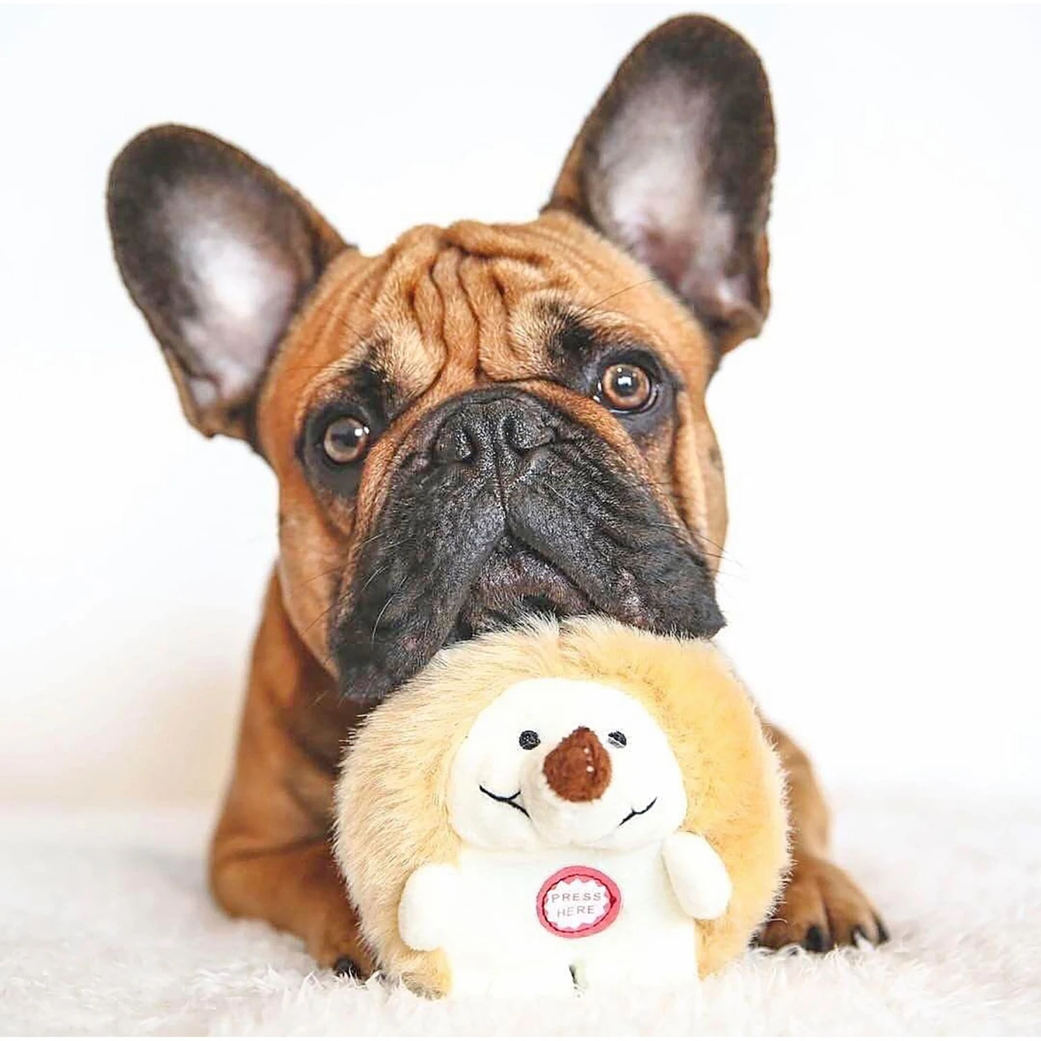 Pet Qwerks Small Holiday Gift Box Dog Toy 7 Pet Qwerks Small Holiday Gift Box Dog Toy - Image 5