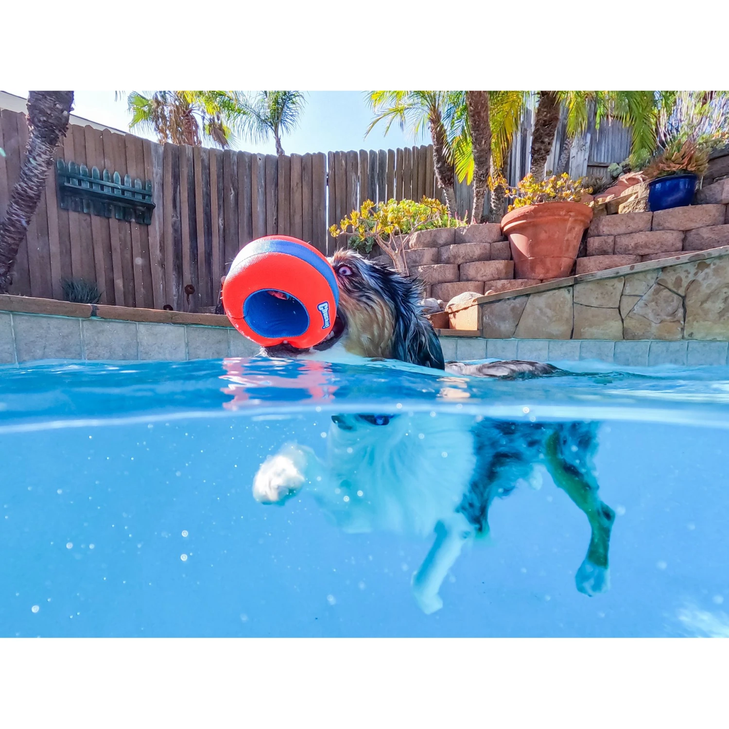 Chuckit! Amphibious Roller Ball Dog Toy, Orange 5 Chuckit! Amphibious Roller Ball Dog Toy, Orange - Image 3