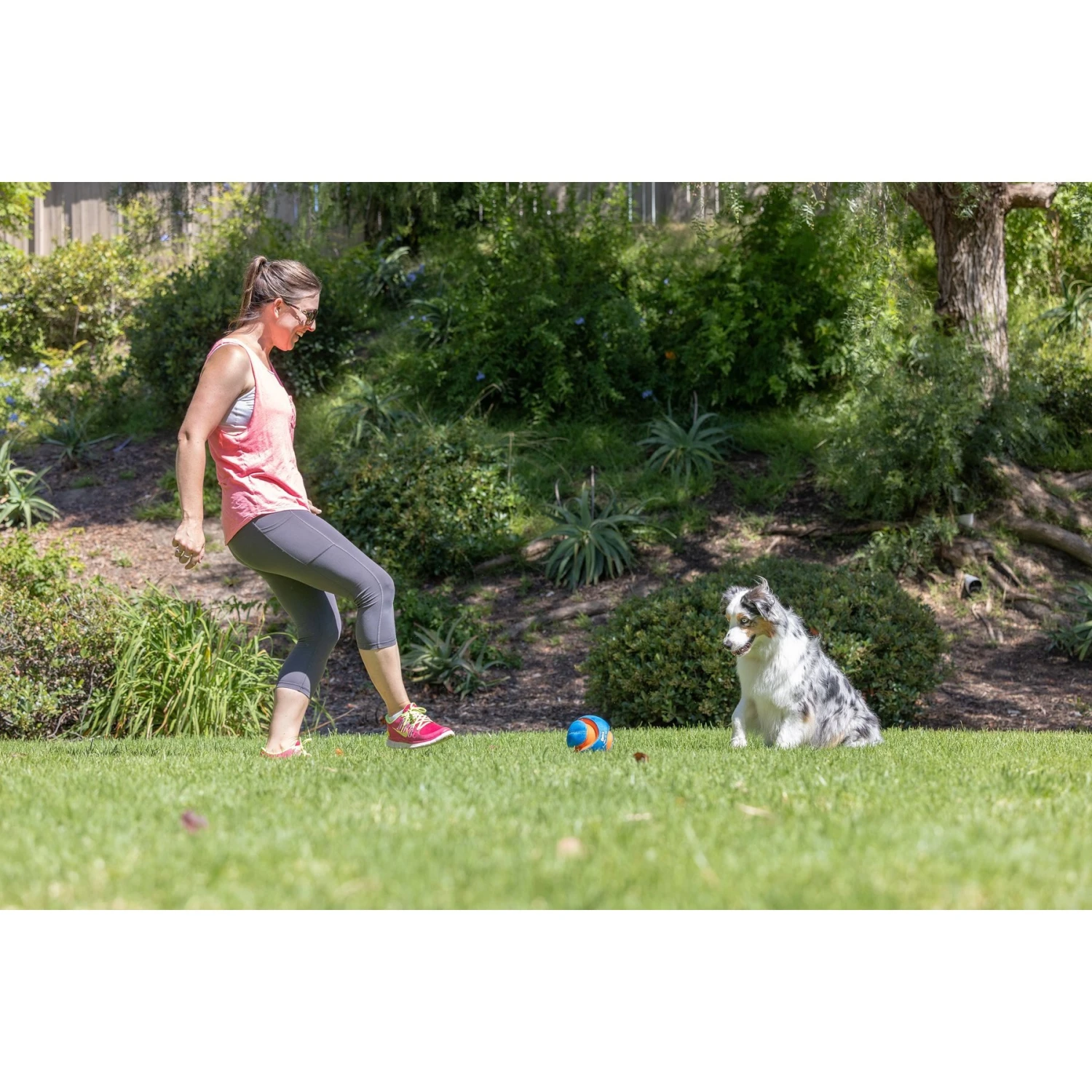 Chuckit! Giggle Kick Fetch Dog Toy, Blue 6 Chuckit! Giggle Kick Fetch Dog Toy, Blue - Image 4