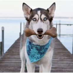 Pet Dog Toys -Pet Dog Toys 370204 PT1. AC SS1800 V1646756265