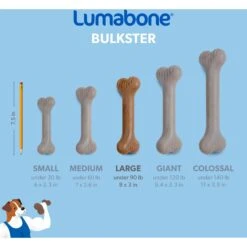Lumabone Bulkster Beef Flavor Dog Toy -Pet Dog Toys 370204 PT5. AC SS1800 V1646765525