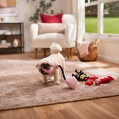 Frisco Valentine Rope, TPR & Plush Variety Pack Dog Toy -Pet Dog Toys 371077 PT3. AC SS1800 V1668737456