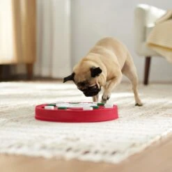 Frisco Bento Interactive Puzzle Dog Toy, Moderate -Pet Dog Toys 506226 PT5. AC SS1800 V1674664929