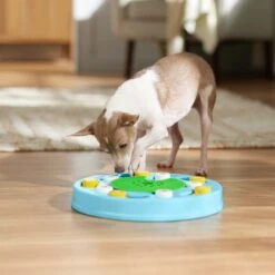 Frisco Seek & Discover Interactive Puzzle Dog Toy, Moderate -Pet Dog Toys 506250 PT5. AC SS1800 V1674664929