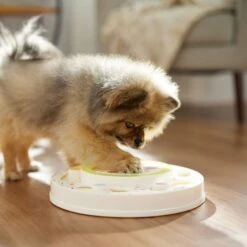 Frisco Tiered Cake Interactive Puzzle Dog Toy, Easy -Pet Dog Toys 506346 PT5. AC SS1800 V1674666566