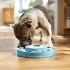 Frisco Two Tier Interactive Puzzle Dog Toy, Easy -Pet Dog Toys 506370 PT5. AC SS1800 V1674671566