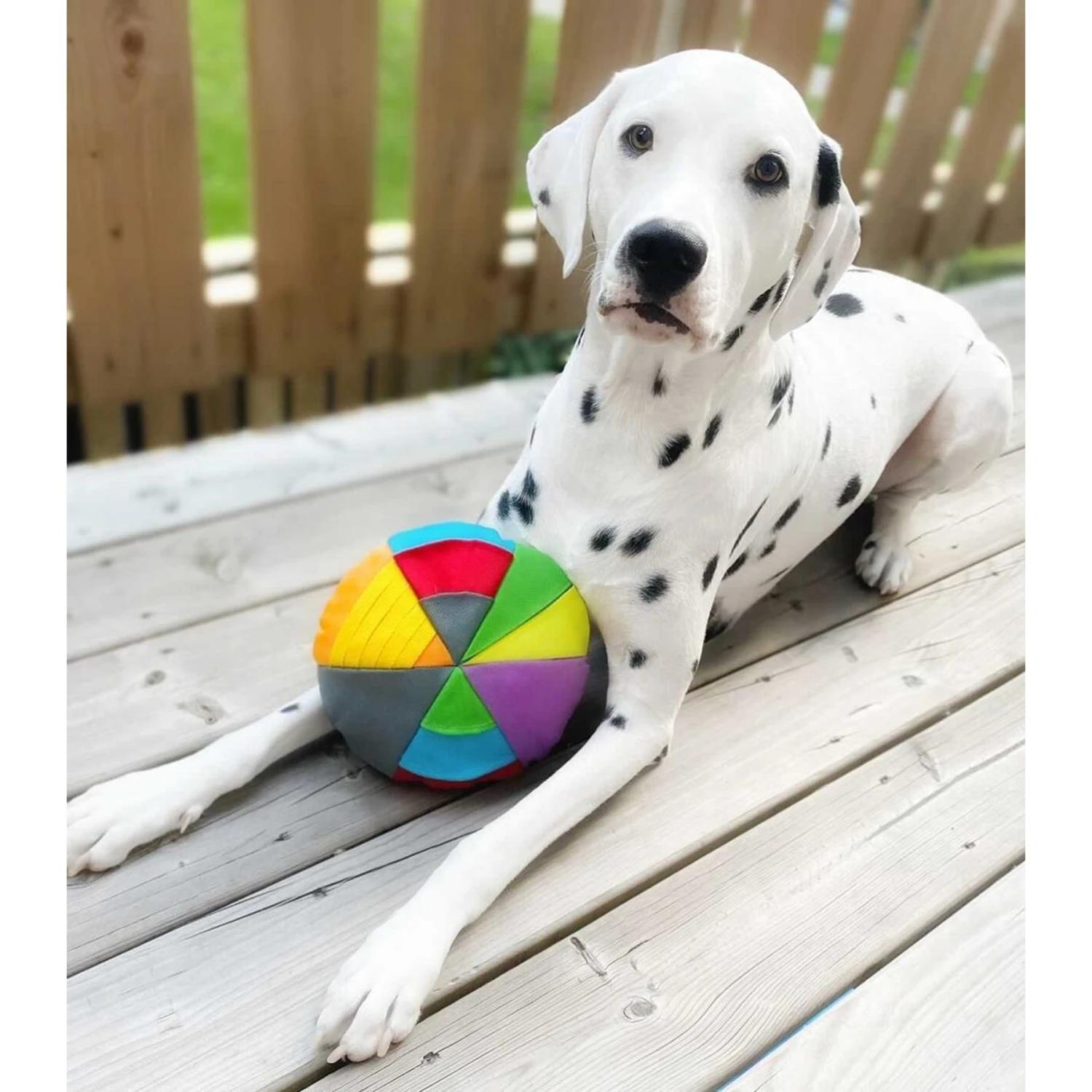 FouFIT Hide 'n Seek Disc Dog Toys, Multicolor 6 FouFIT Hide 'n Seek Disc Dog Toys, Multicolor - Image 4