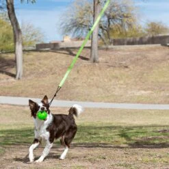 Jolly Pets Tree Tugger Rope Tug Dog Toy -Pet Dog Toys 528366 PT5. AC SS1800 V1651164717