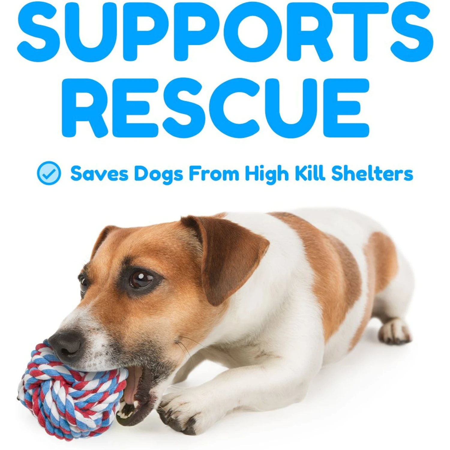 Pacific Pups Rescue Rope Dog Toy Variety Pack, 5 Count 6 Pacific Pups Rescue Rope Dog Toy Variety Pack, 5 Count - Image 4