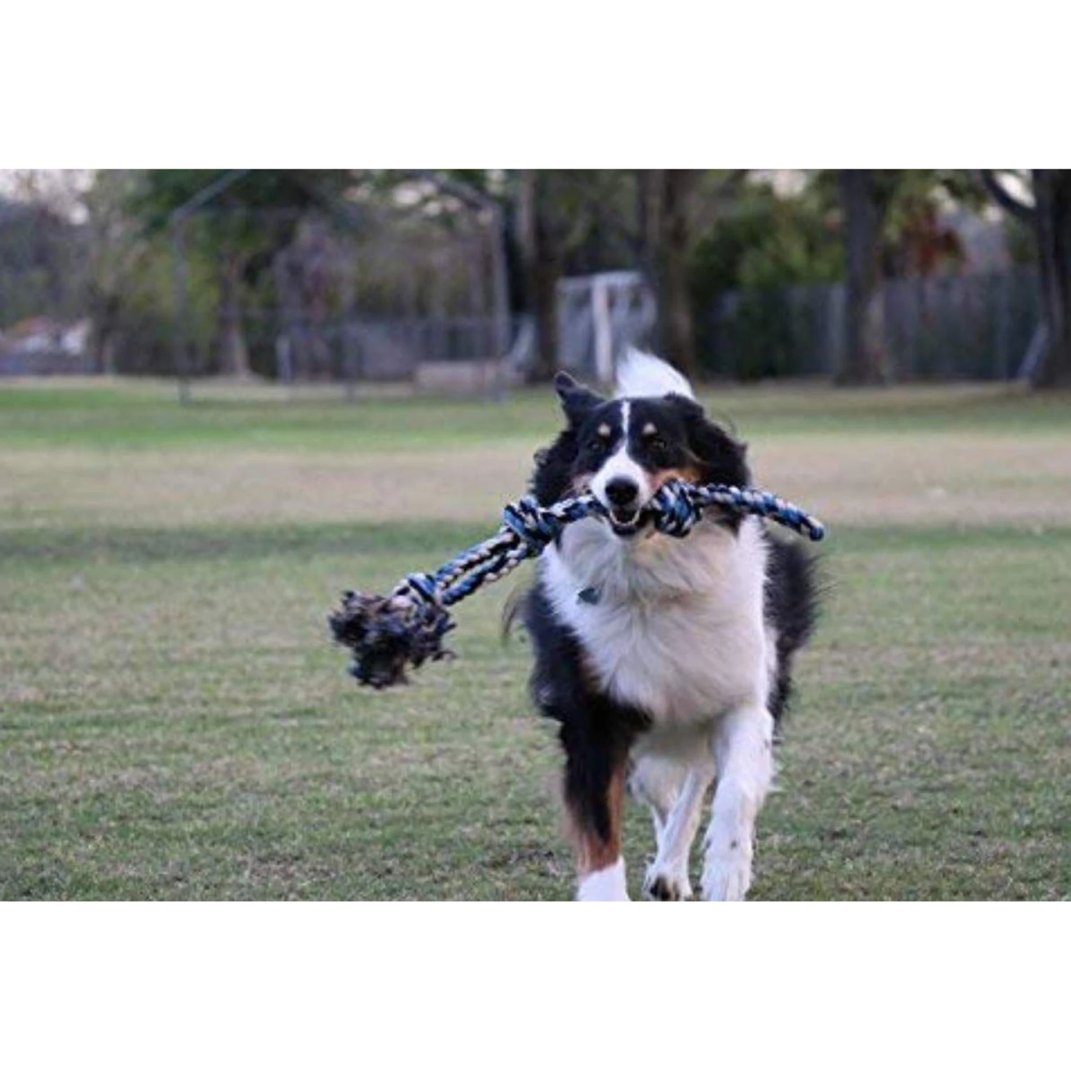 Pacific Pups Rescue Rope Tug Dog Toy, Large 7 Pacific Pups Rescue Rope Tug Dog Toy, Large - Image 5