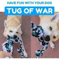 Pacific Pups Rescue Knotted Rope Tug Dog Toy, Blue, X-Large -Pet Dog Toys 532310 PT5. AC SS1800 V1657658629