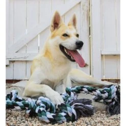 Pacific Pups Rescue Knotted Rope Tug Dog Toy, Blue, X-Large -Pet Dog Toys 532310 PT6. AC SS1800 V1657658630