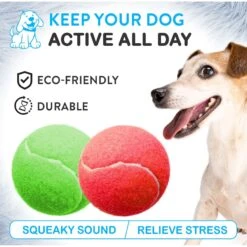 Pacific Pups Rescue Ball Dog Toy Variety Pack, 6 Count -Pet Dog Toys 532326 PT2. AC SS1800 V1692805971
