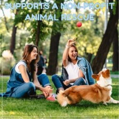 Pacific Pups Rescue Ball Dog Toy Variety Pack, 6 Count -Pet Dog Toys 532326 PT6. AC SS1800 V1692805977