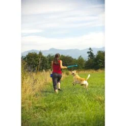 Chuckit! The Whistler Ball Dog Toy, Color Varies 11 Chuckit! The Whistler Ball Dog Toy, Color Varies -Pet Dog Toys 53238 PT2. AC SS1800 V1531445513