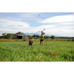 Chuckit! The Whistler Ball Dog Toy, Color Varies 12 Chuckit! The Whistler Ball Dog Toy, Color Varies -Pet Dog Toys 53238 PT3. AC SS1800 V1531445532