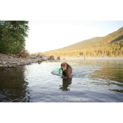 Chuckit! Amphibious Boomerang Dog Toy, Color Varies 10 Chuckit! Amphibious Boomerang Dog Toy, Color Varies -Pet Dog Toys 53241 PT3. AC SS1800 V1510778334