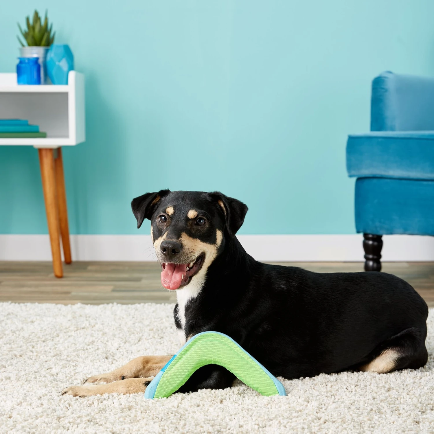 Chuckit! Amphibious Boomerang Dog Toy, Color Varies 7 Chuckit! Amphibious Boomerang Dog Toy, Color Varies - Image 5