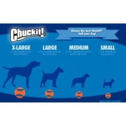 Chuckit! Indoor Ball Dog Toy -Pet Dog Toys 53245 PT7. AC SS1800 V1534449168