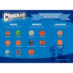 Chuckit! Rebounce Ball Twin Pack Dog Toy, Color Varies -Pet Dog Toys 53261 PT6. AC SS1800 V1542656221