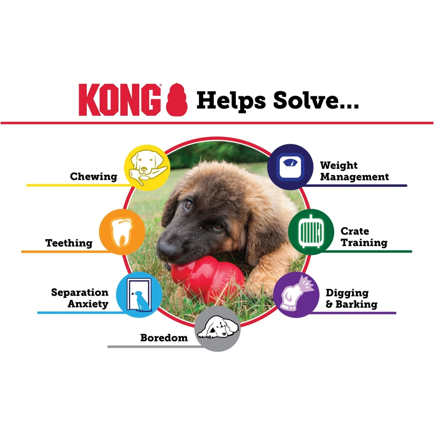 KONG Classic Dog Toy 6 KONG Classic Dog Toy - Image 4