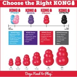 KONG Classic Dog Toy 13 KONG Classic Dog Toy -Pet Dog Toys 53352 PT4. AC SS1800 V1603166186