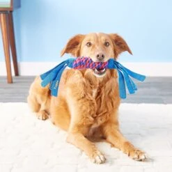 KONG Tugga Wubba Dog Toy, Color Varies -Pet Dog Toys 53461 PT3. AC SS1800 V1544221461