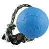 Jolly Pets Romp-n-Roll Dog Toy, Blueberry -Pet Dog Toys 53648 MAIN. AC SS1800 V1629245805
