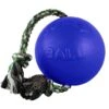 Jolly Pets Romp-n-Roll Dog Toy, Blue 2 Jolly Pets Romp-n-Roll Dog Toy, Blue -Pet Dog Toys 53650 MAIN. AC SS1800 V1629244656