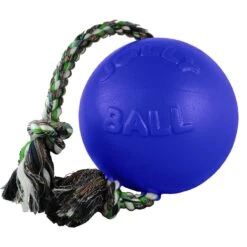 Jolly Pets Romp-n-Roll Dog Toy, Blue